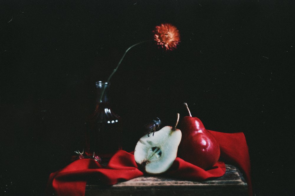 Photograph by Natalia Drepina