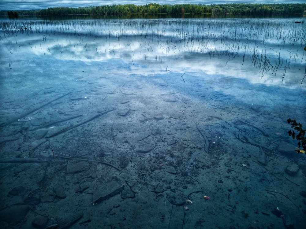 Прозрачные озера Карельских лесов