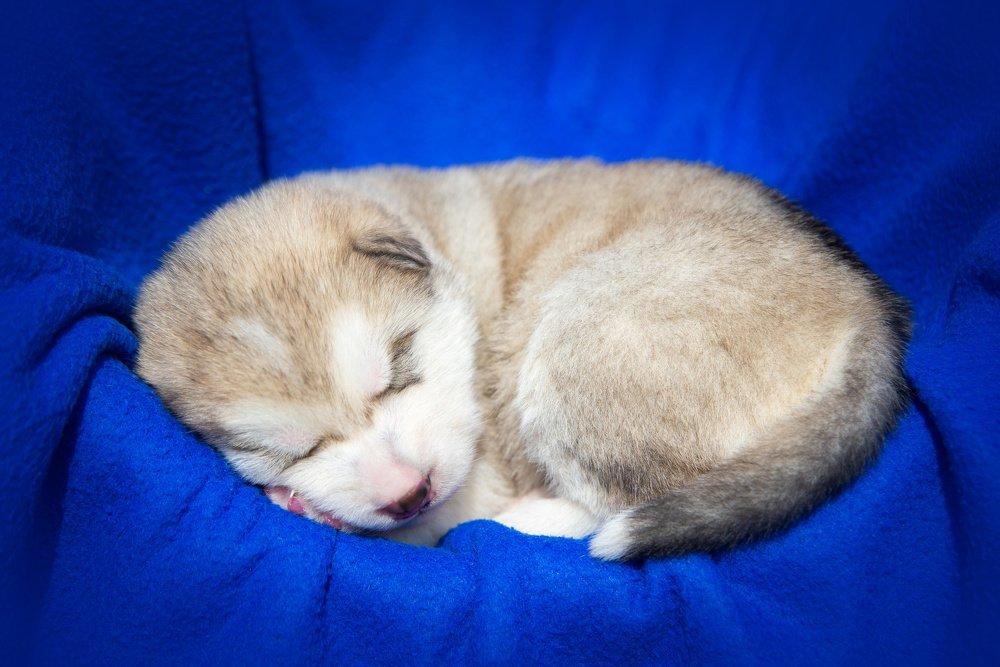 Photograph by Мария Ратушная