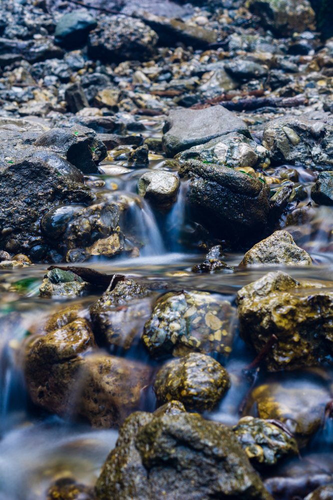 Photograph by Levente Zsolt Gal