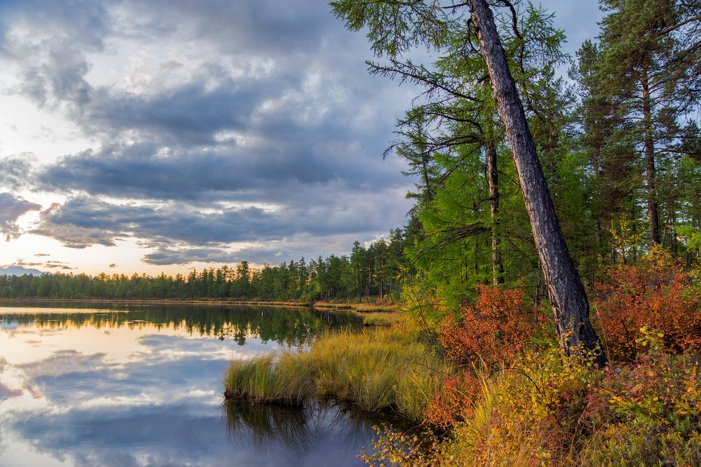 Дыхание осени