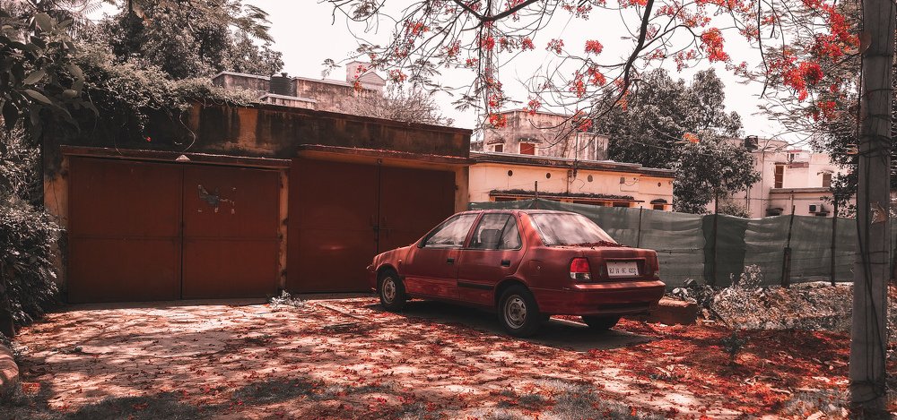 Photograph by Saimon Jackson