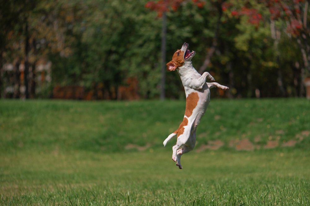 Photograph by Ольга Тюгина