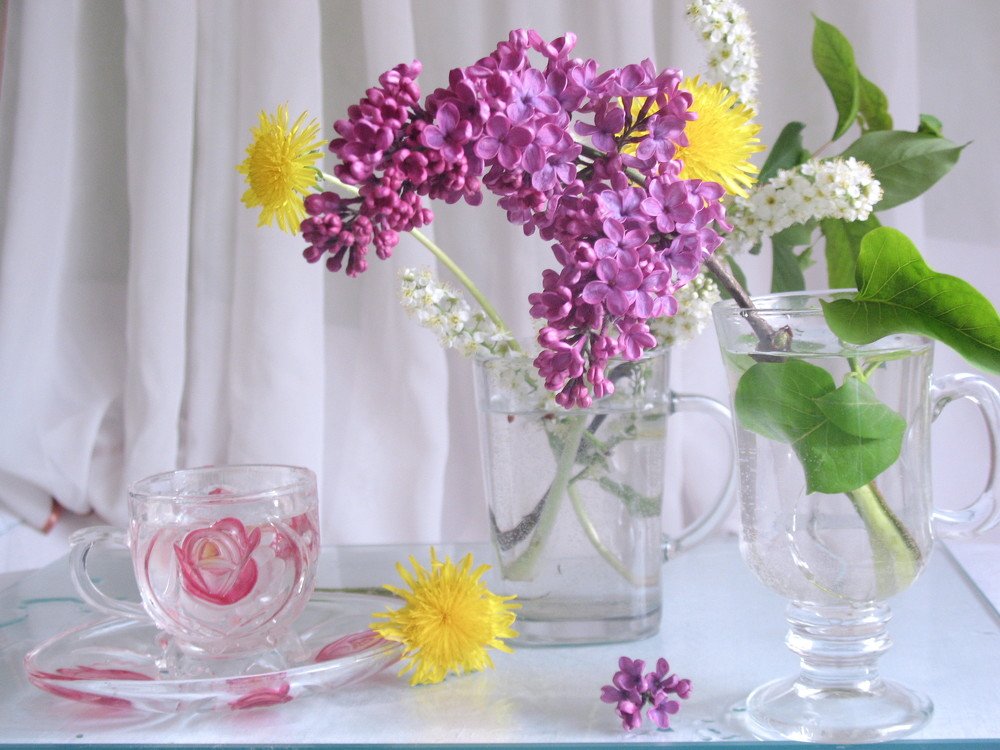 Фотография автора Нина Калинина