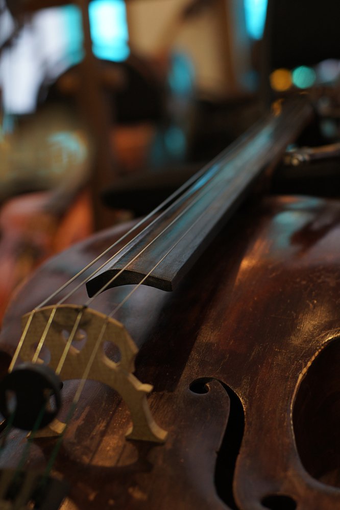 Photograph by Демидова Евгения