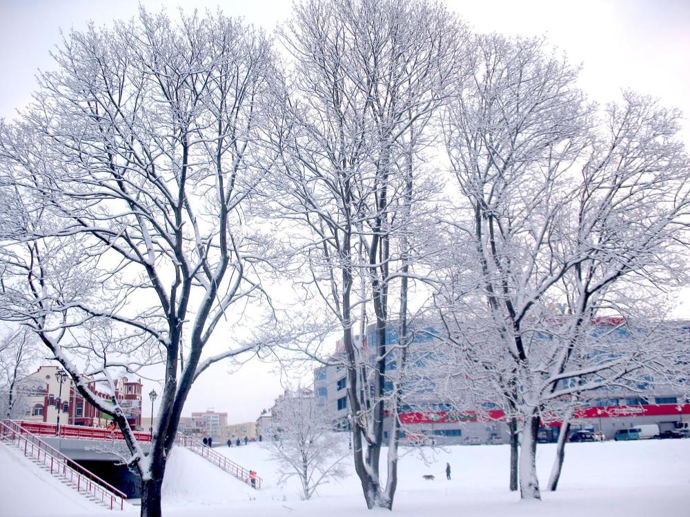 Фотография автора Нина Калинина