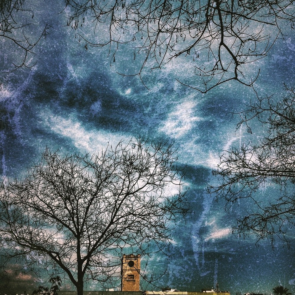 Photograph by Elena Kozlova