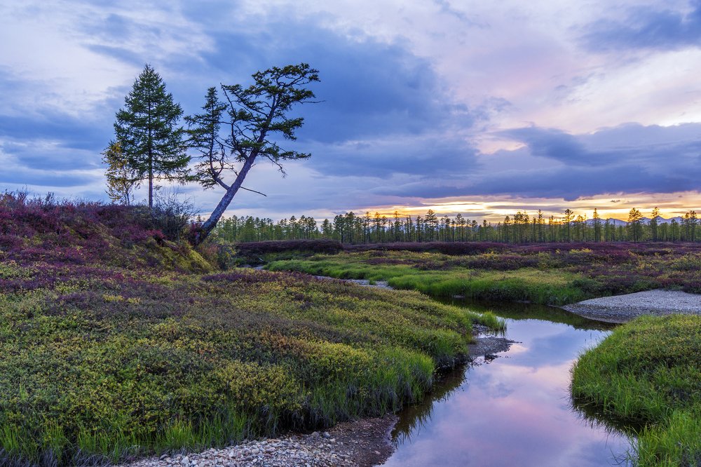 Краски осени