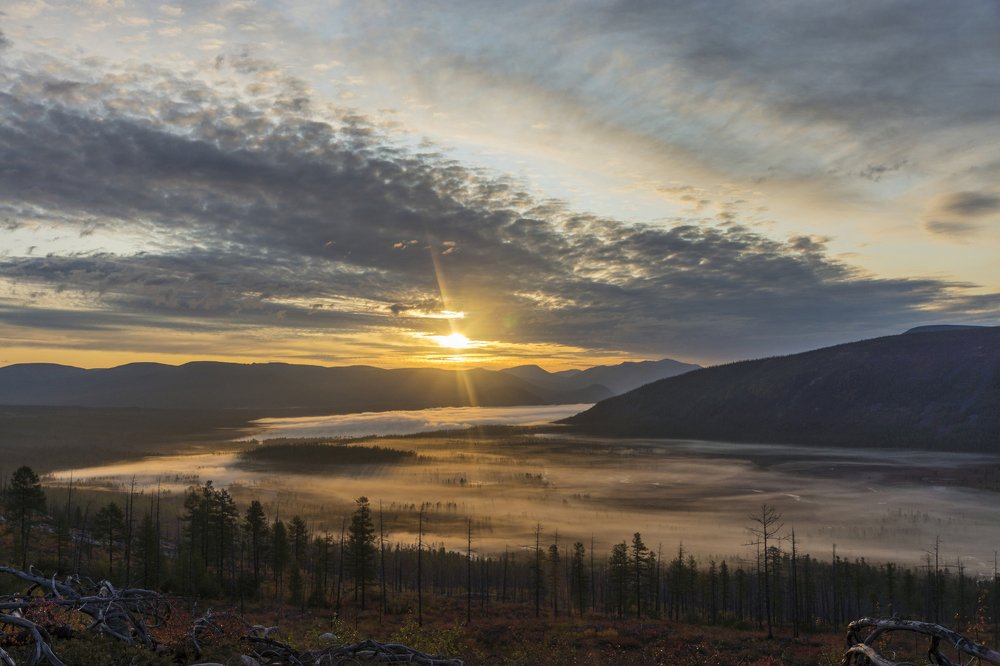 Бронзовый восход