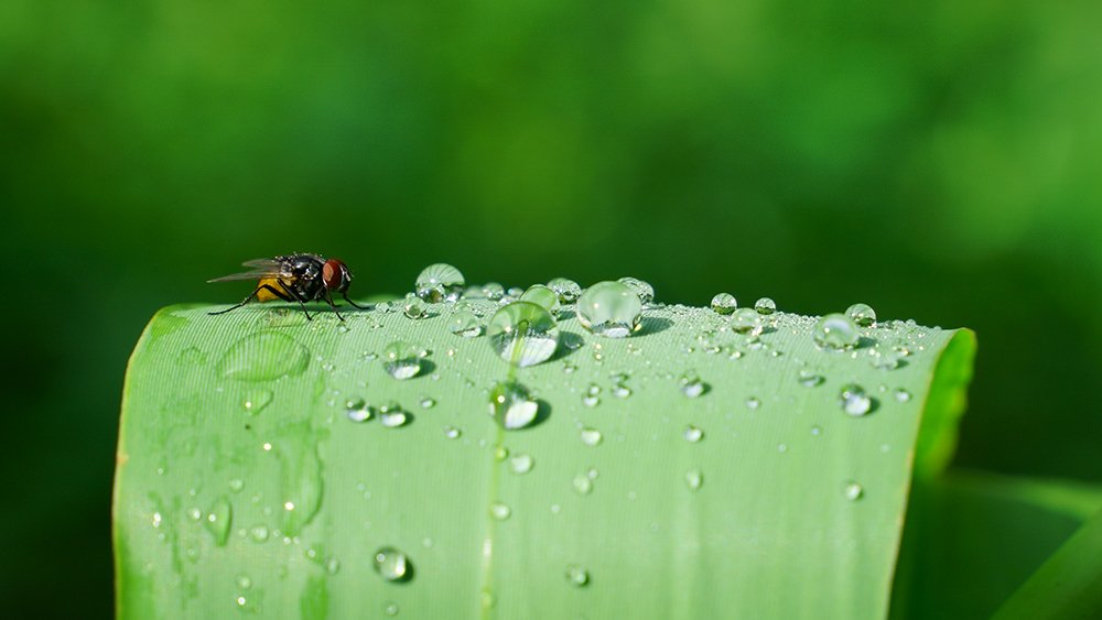 Photograph by wewegama pushpitha