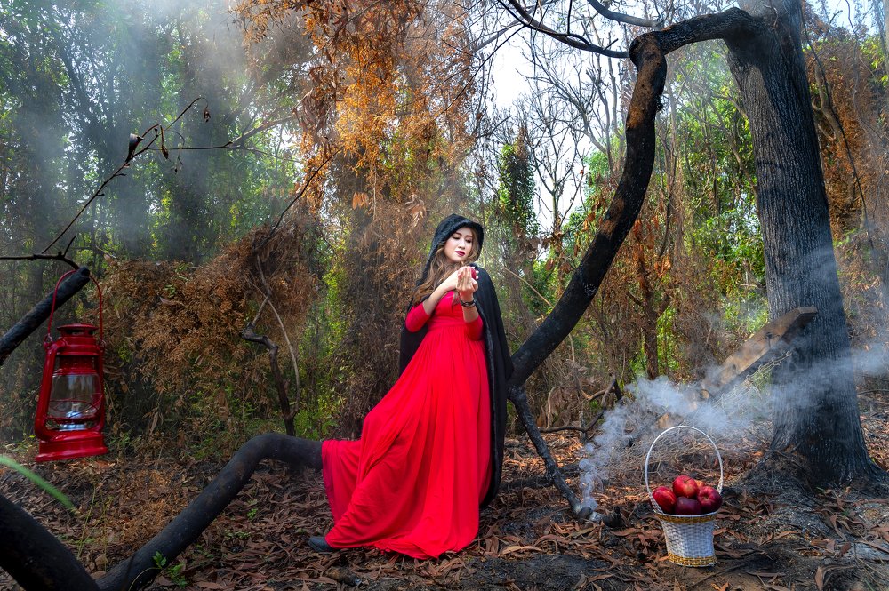 BUỔI SÁNG TRONG RỪNG