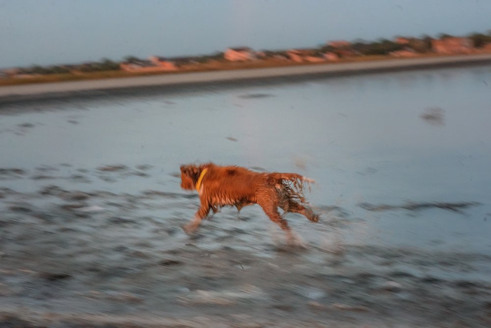 Фотография автора Юлия Кунина