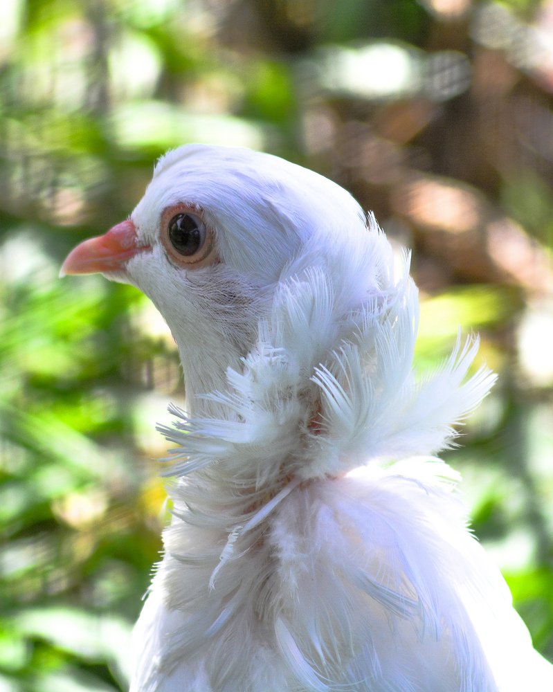 Photograph by Mulyanto Syafridel