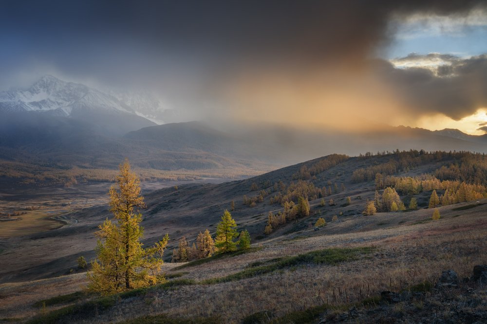 В свете дождя