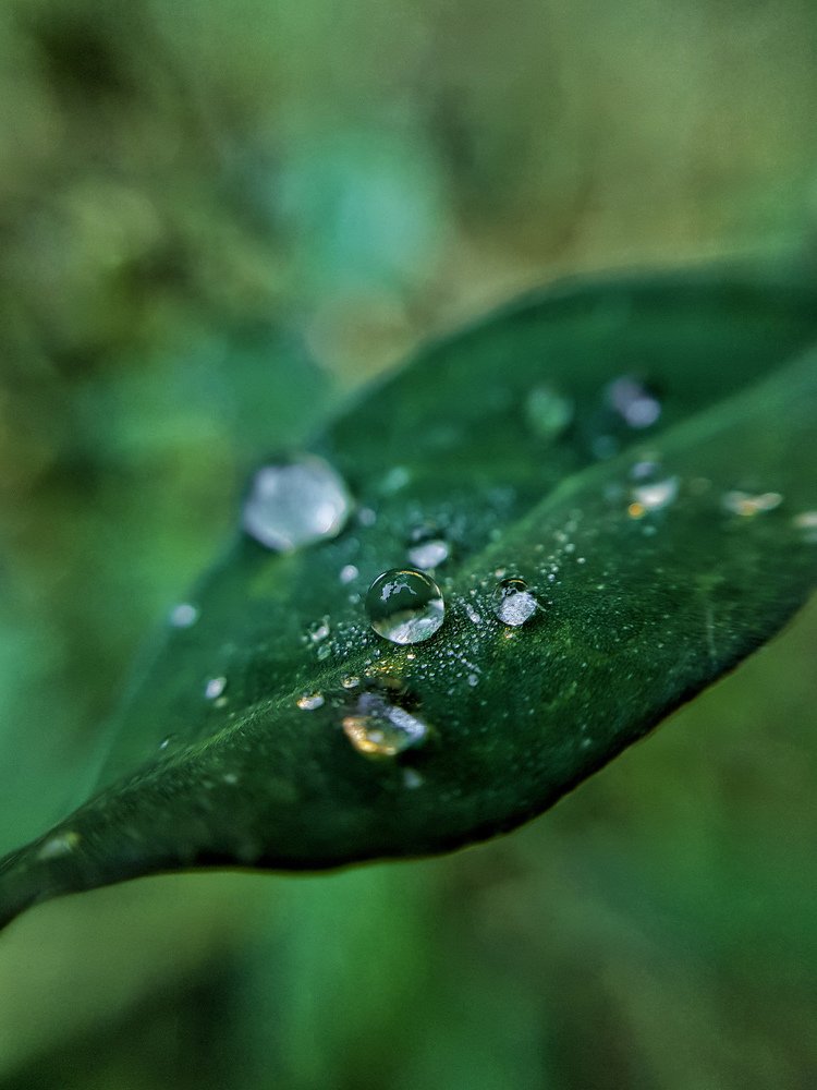 После дождя