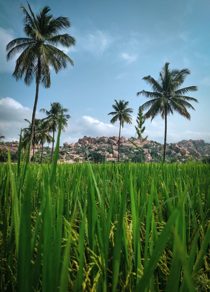 Photograph by Sachin Usapkar