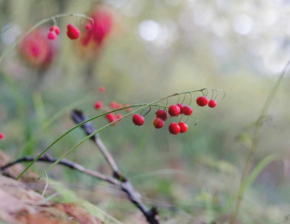 Photograph by Юлия Орлова