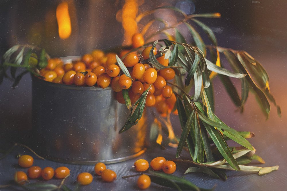 Photograph by Алла Семенова