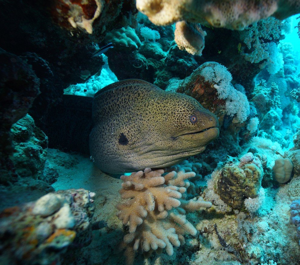 Photograph by Mikhail Khlavna