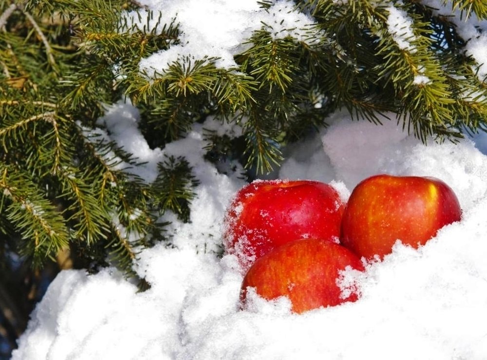 Photograph by Вячеслав Розмин