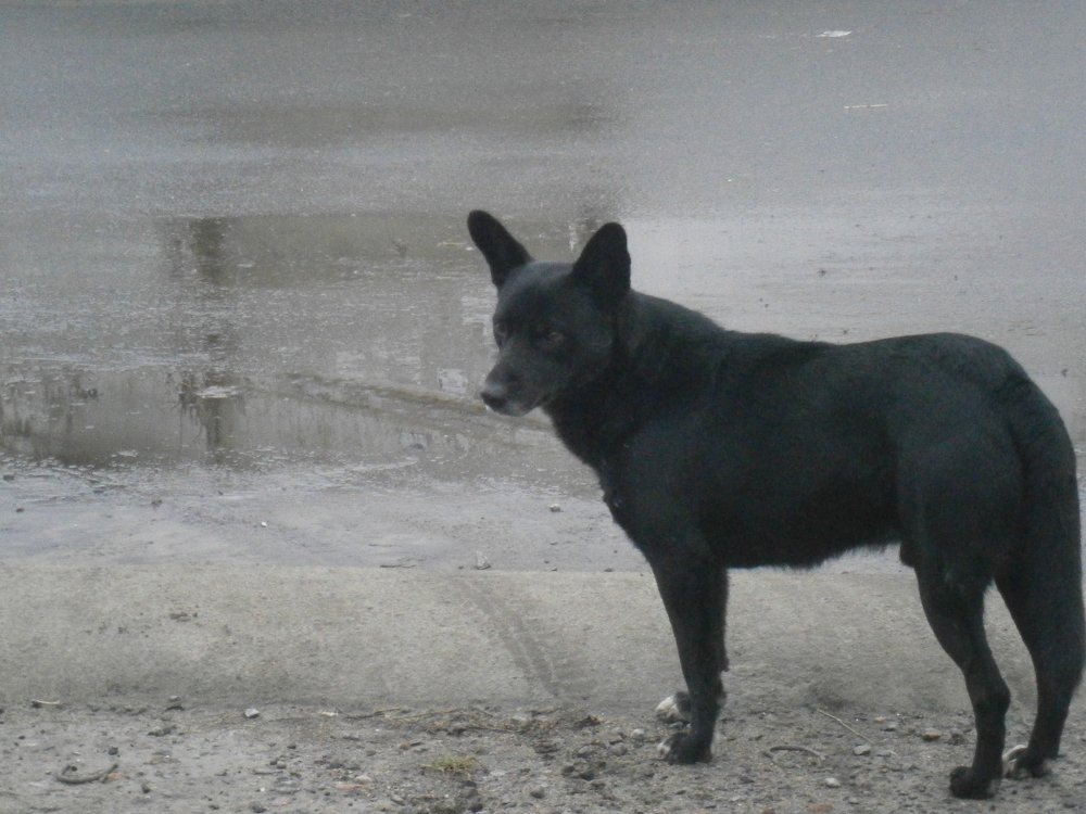 Photograph by Сергей Зиньковский