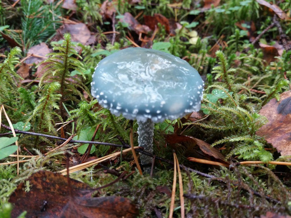 Photograph by Елена Грошева