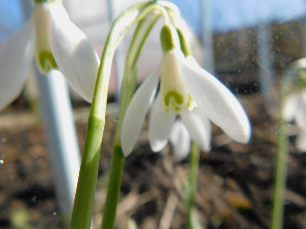 Photograph by Елена Грошева