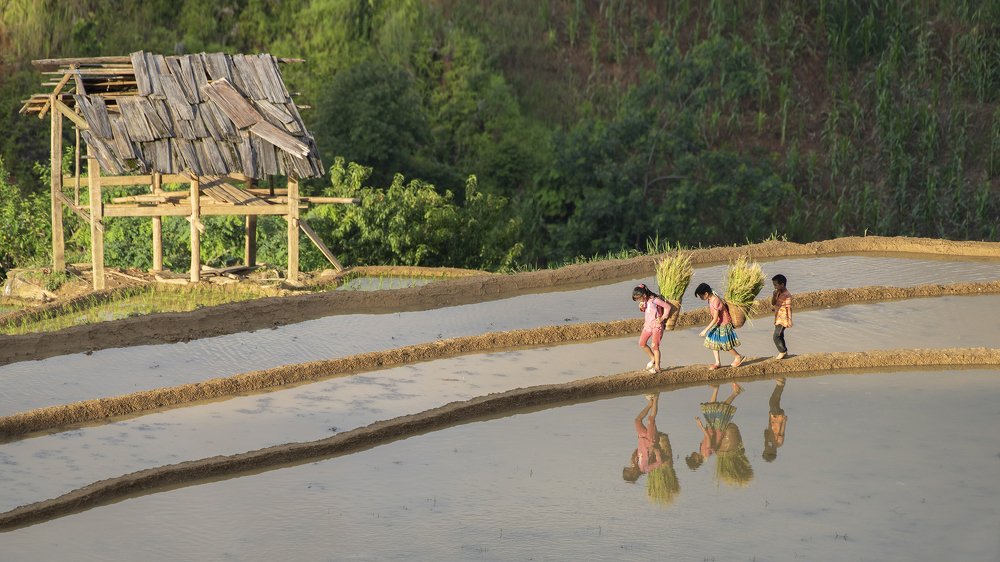 Đường về nhà chúng em