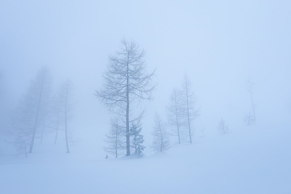 Photograph by Roberto Pavic