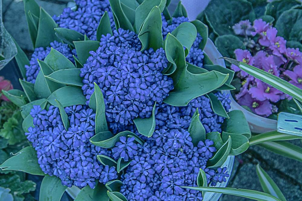 Photograph by Galina Rashap