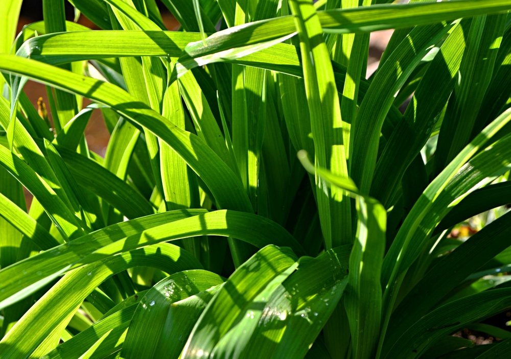 Photograph by Алексей Епишин