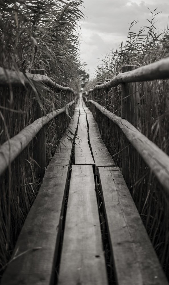 По дороге за мечтой....