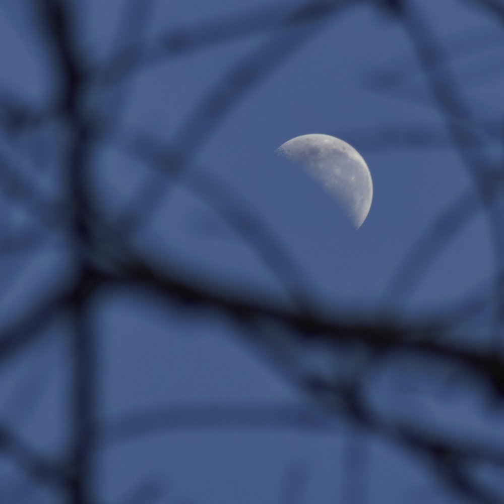 Very early day moon.