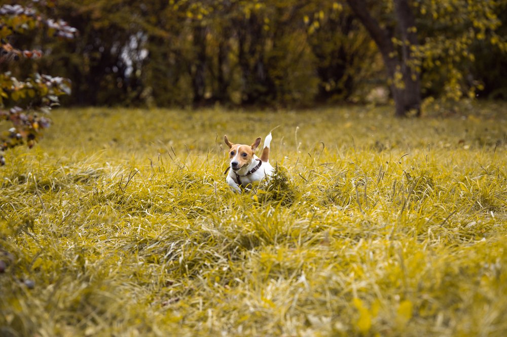 Photograph by Денис Токмаков