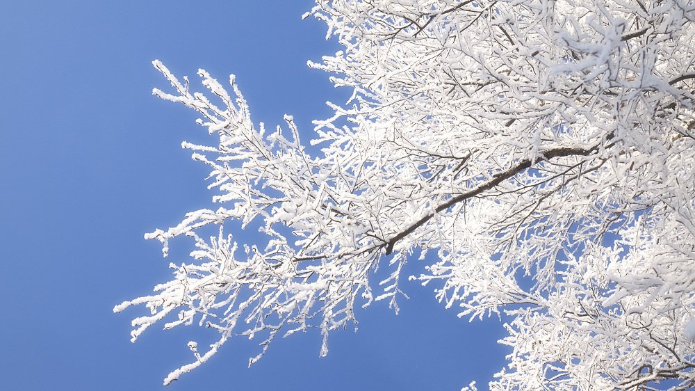 Photograph by Иван Мороз