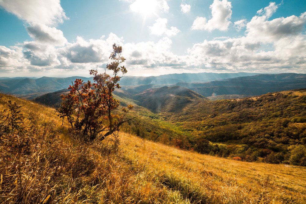 Photograph by Антон