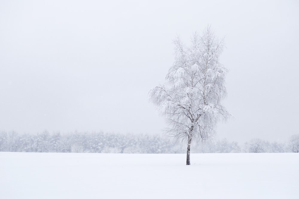 Растворение