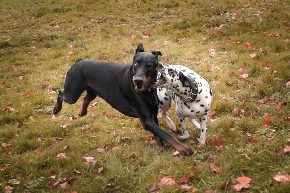 Фотография автора Марина