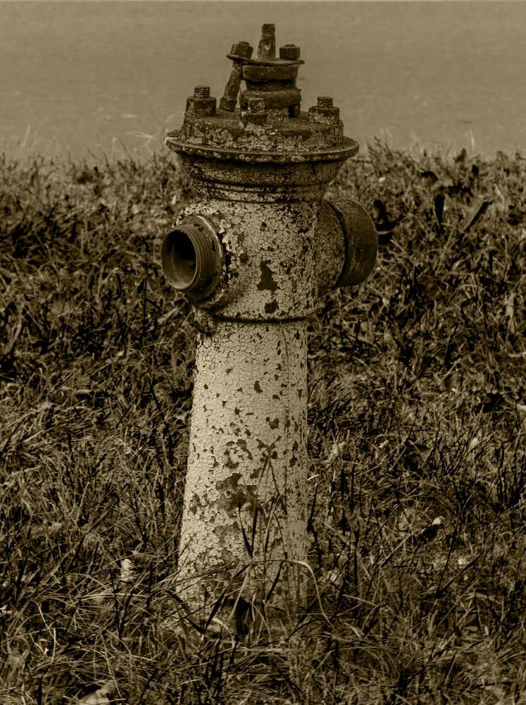 Photograph by Константин