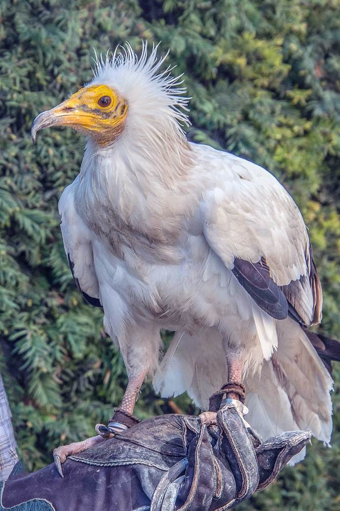 Photograph by Galina Rashap