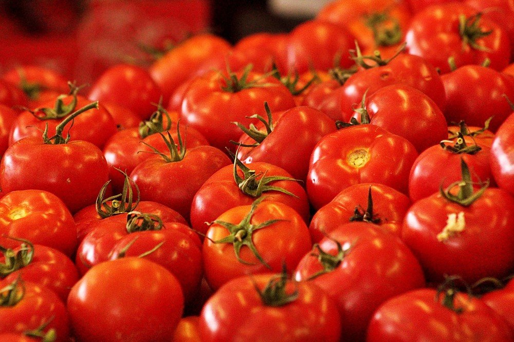 Photograph by Debbie Strauss