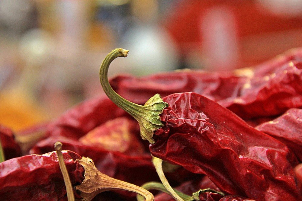 Photograph by Debbie Strauss