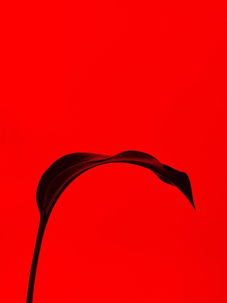 Photograph by Марат Болатханов