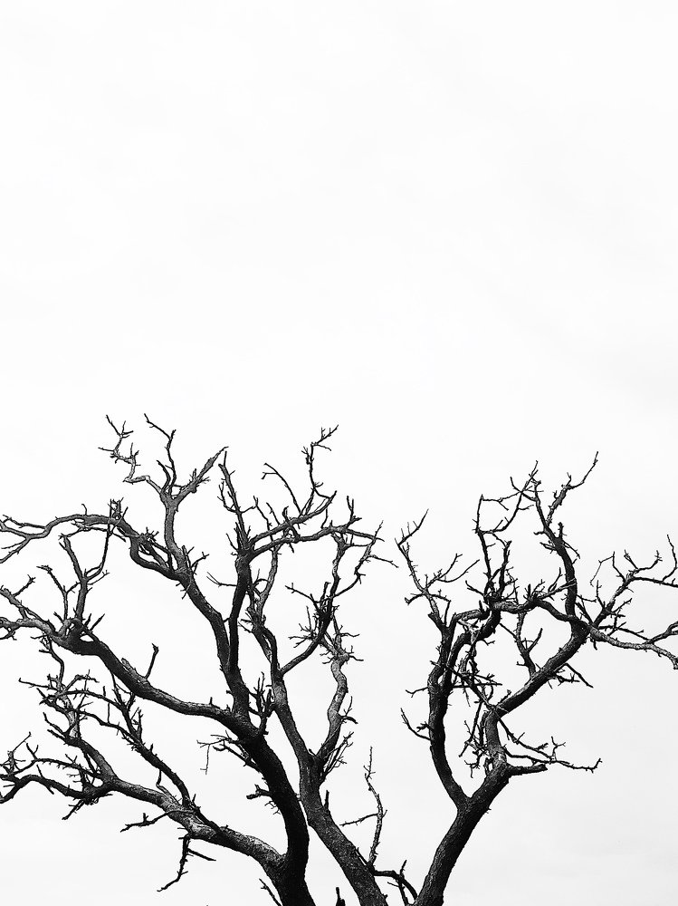 Photograph by Марат Болатханов