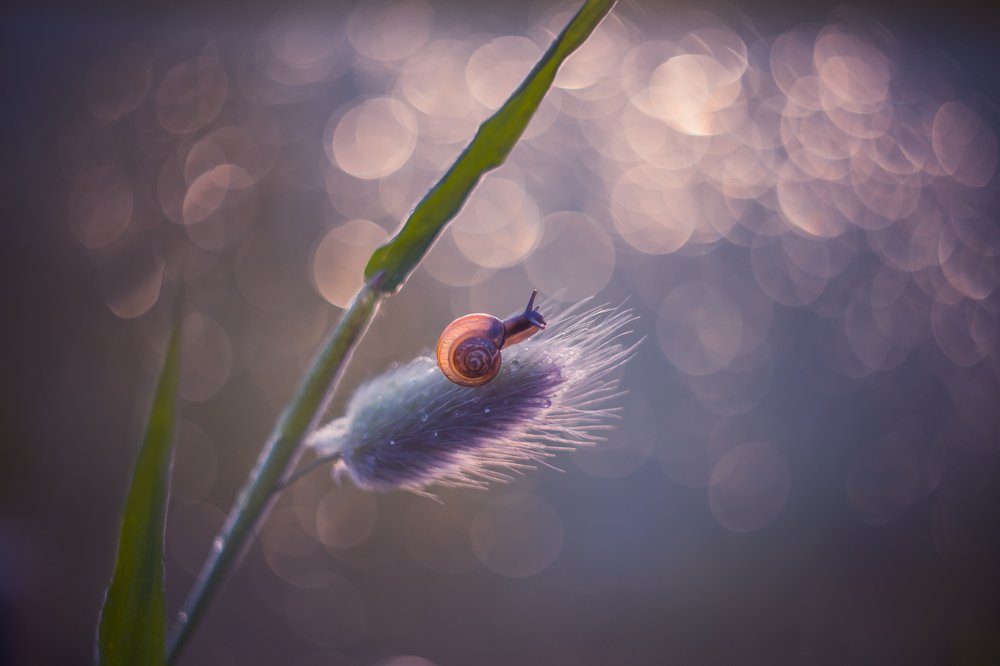 Photograph by Татьяна Антонюк