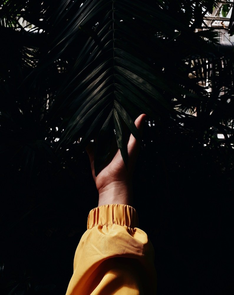 feel that