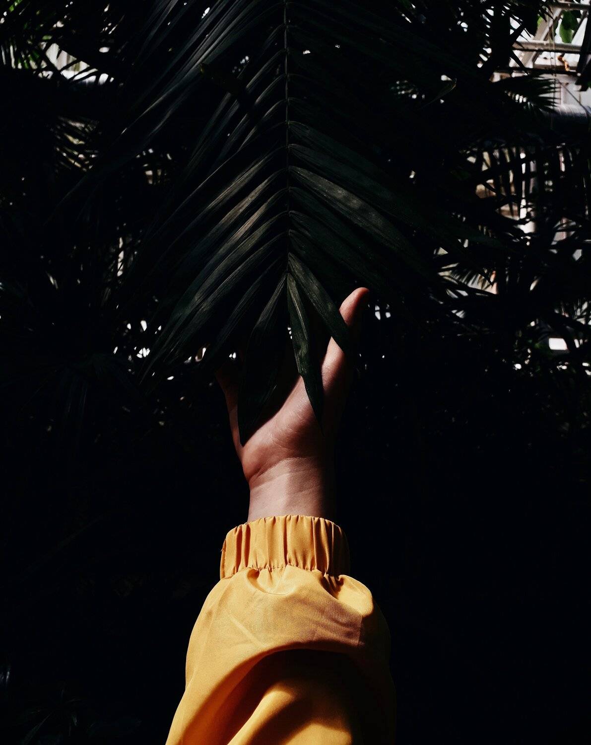 feel that
