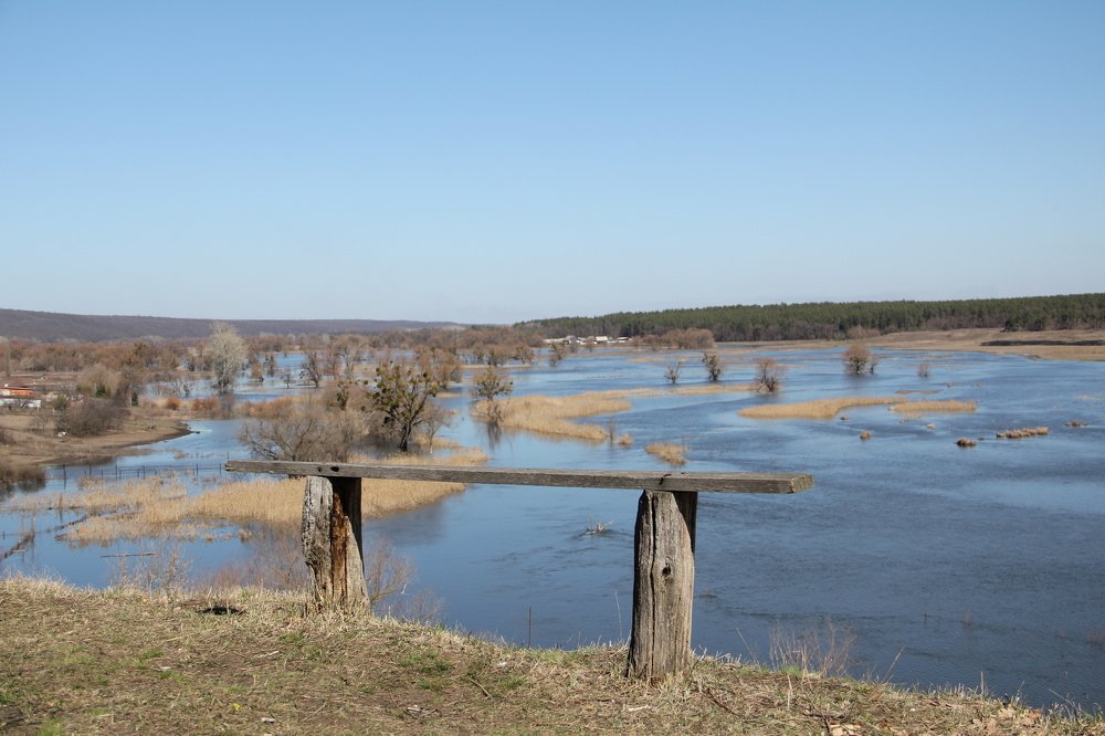 Photograph by Valentyna