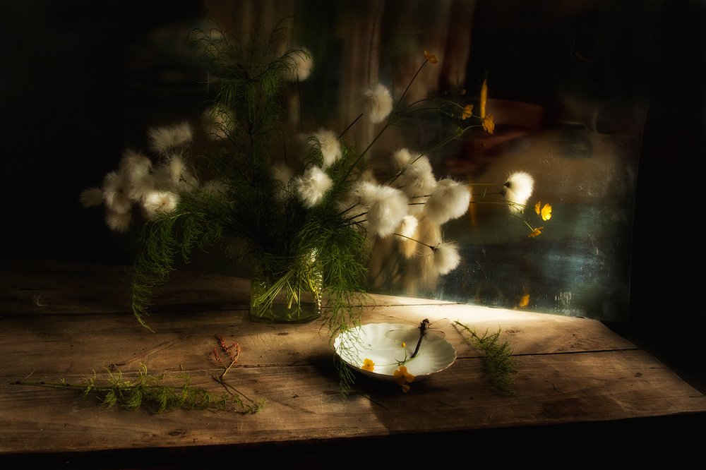 Северные цветы и стрекоза...