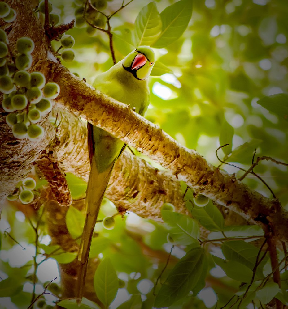 Photograph by Utkarsh Patil